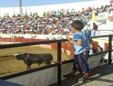 Prevención educativa de violencia y criminalidad. Maltrato animal mediático y menores 9 Prevención educativa de violencia y criminalidad. Maltrato animal mediático y menores
