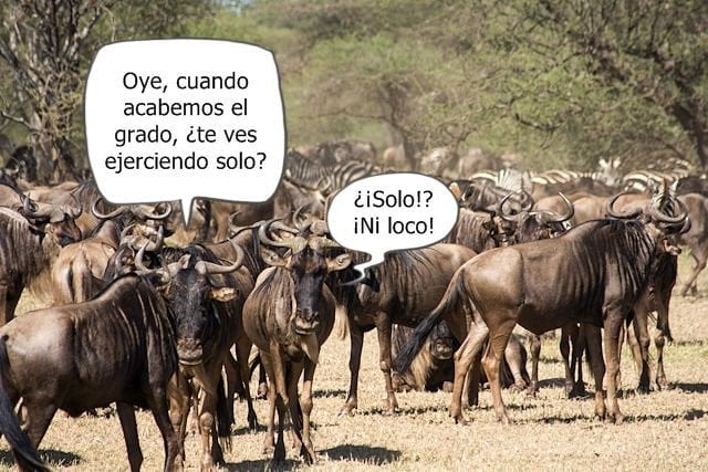 El criminólogo como profesional gregario