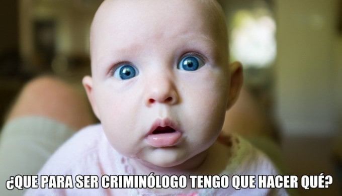 Criminología y Justicia Refurbished | Todos los artículos de la revista 7 Salidas profesionales en Criminología